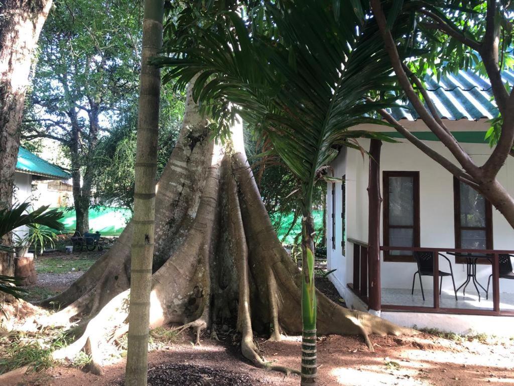 Tropical Paradise Leelawadee Resort Ко-Чанг Екстер'єр фото